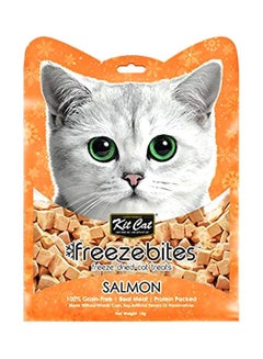 Buy Freezebites Dried Salmon 15grams in UAE