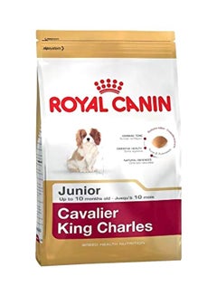 Buy Cavalier King Charles Multicolour 1.5kg in UAE