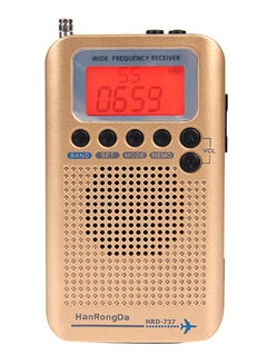 Buy Portable Mini Radio V581 Gold in Saudi Arabia