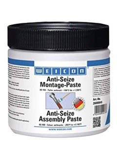 Buy Anti-Seize Assembly Paste Clear 450g in UAE