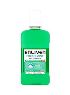 Buy Fresh Mint Mouthwash 500ml in Egypt