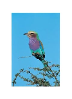 Buy Decorative Wall Poster Blue/Pink 45x31cm in Egypt