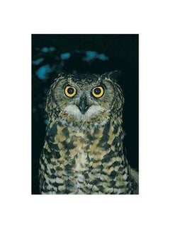 Buy Owl Printed Decorative Wall Poster Black/Gold/Beige 34x24cm in Egypt