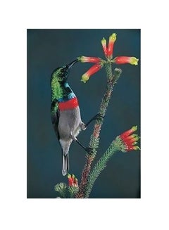 Buy Decorative Wall Poster Multicolour 34x24cm in Egypt