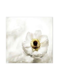 Buy Decorative Wall Poster With Frame White/Black 20x20cm in Egypt