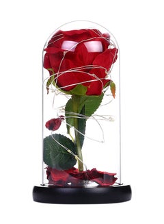 Buy Beautiful Preserved Rose Flower LED Light With Glass Cover in Saudi Arabia