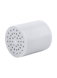 Buy Shower Head Filters Silver in UAE