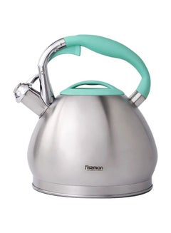 Buy Jessica Whistling Tea Kettle Silver/Green in UAE