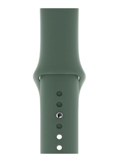 Buy Solid Silicone Replacement Band For Apple Watch Series 5/4/3/2/1 Pine Green in UAE