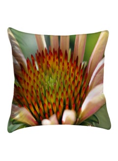 Buy Printed Pillow Cover polyester Multicolour 40x40cm in Egypt