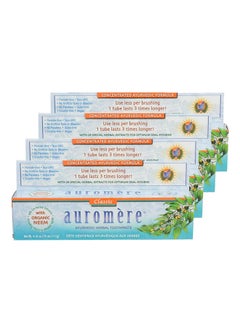 Buy Pack Of 4 Ayurvedic Herbal Organic Toothpaste in UAE