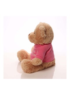 I'm The Big Sister Teddy Bear GUND 320154 for sale online 