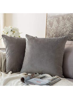 Buy 4-Piece Solid Pattern Decorative Pillow velvet Light Grey 65 x 65cm in Saudi Arabia