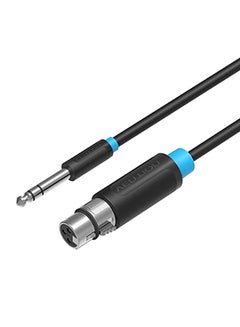 Buy Audio 6.5mm Jack To XLR 3 Pin Female Microphone Mic Cable Black/Silver in Saudi Arabia