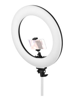 Buy 60W Dimmable Adjustable LED Ring Light 3000-6000K Temperature With Phone Holder Black/White in Egypt