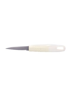 Buy Stainless Steel Fruit Knife White/Silver 18centimeter in Saudi Arabia