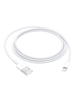 Buy Lightning Charging Cable Off White in UAE