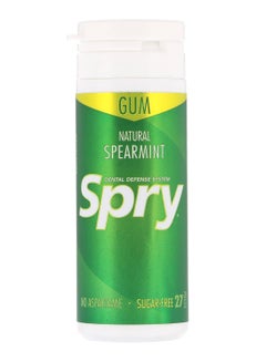Buy 27-Piece Natural Spearmint Spry Chewing Gum Set 25grams in UAE