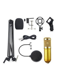 Buy BM800 Professional Suspension Microphone Kit Black in Saudi Arabia