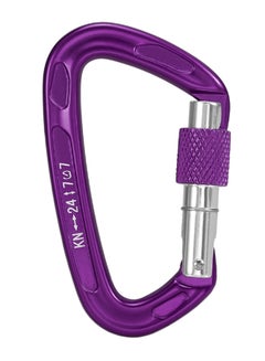 Buy Heavy Duty D Shaped Carabiner in UAE