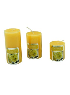 Buy 3-Piece Flower Scented Botanical Candles Orange 16.5x12.5centimeter in UAE