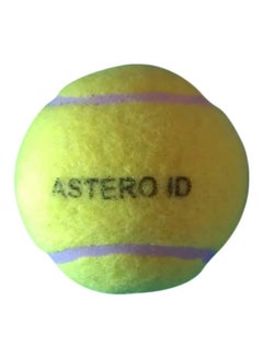 Buy Asteroid Practice Tennis Ball in UAE