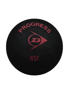 Buy 12-Piece Progress Squash Ball in UAE