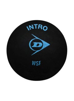 Buy 12-Piece Intro Squash Ball in UAE