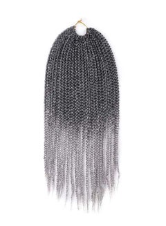 Buy Long Braid Style Hair Wig Grey/Black 22inch in UAE