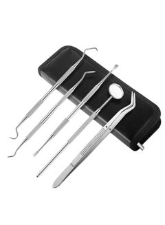 Buy 5-Piece Professional Oral Dental Tool Kit With Case Silver in UAE