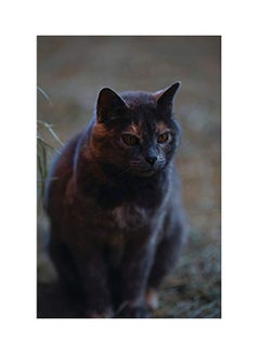 اشتري Kid's Petite Barn Cat Journal Hardcover الإنجليزية by Jordan Wunderlich - 09-Jan-19 في الامارات