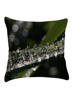 Buy Polyester Decorative  Cushion Cover Green/Black polyester Green/Black 40x40cm in Egypt