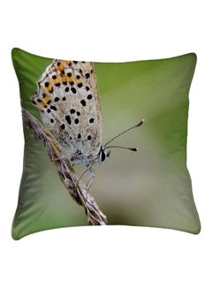 Buy Printed Pillow Cover polyester Multicolour 40 x 40cm in Egypt