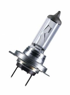 Buy Halogen H7 Auto Bulb in UAE