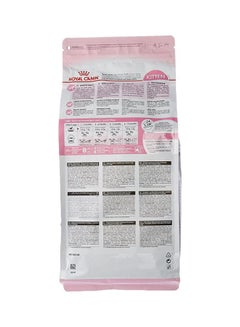 second age kitten sterilised