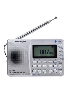 Buy Portable FM Radio K607 Silver in UAE