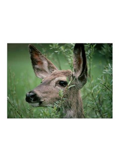 Buy Roe Deer Animal Canvas Painting Green/Brown 45x30cm in Egypt