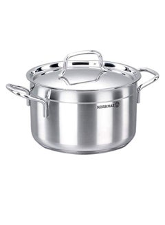 Buy Sturdy And Durable Exclusive Shaped Cool Touch Handle Alfa Stainless Steel Casserole With Lid Silver 26 x 13cm in UAE