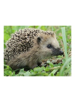 Buy Hedgehog Themed Self Adhesive Wall Sticker Green/Beige/Black 140x105cm in Egypt