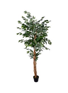 اشتري شجرة فيكاس الاصطناعية أخضر/بني/أسود 210x90سم في الامارات