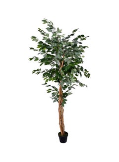 Buy Artificial Ficus Tree Green/Brown/Black 210x90cm in UAE