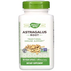 Buy Astragalus Root Dietary Supplement - 180 Capsules in UAE