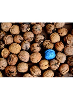 Buy Walnuts Themed Self Adhesive Wall Sticker Beige/Brown/Blue 140x105cm in Egypt