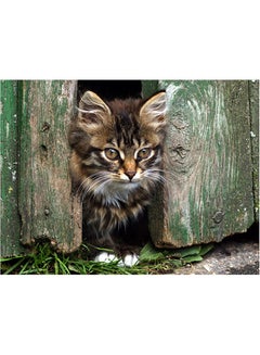 Buy Kitten Themed Self Adhesive Wall Sticker Multicolour 140x105cm in Egypt