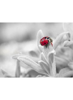 Buy Ladybug Themed Self Adhesive Wall Sticker White/Red 140x105cm in Egypt