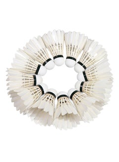 Buy 12-Piece Feather Shuttlecocks Set 40x8x8cm in UAE