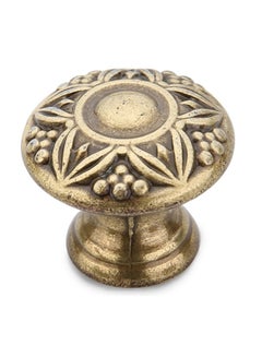 Buy Burnished Brass Furniture Knob Gold in UAE