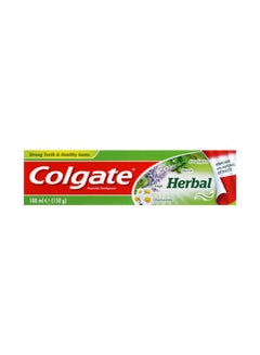 Buy Herbal Fluoride Toothpaste 100ml White in UAE