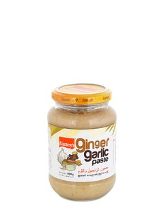 Buy Garlic Paste 400grams in UAE