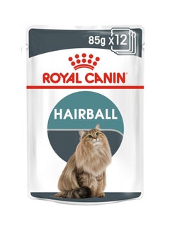 Buy Feline Care Nutrition Hairballgravy Wet Food Pouches 85g Pack Of 12 in Saudi Arabia